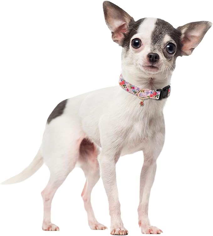 Cute Rose Dog Collar for Small Medium Large Dogs Special Design Cute Pink Rose Dog Collar for Girl Female Dogs Soft Adjustable Rose Puppy Collars for Girl Female Dogs S