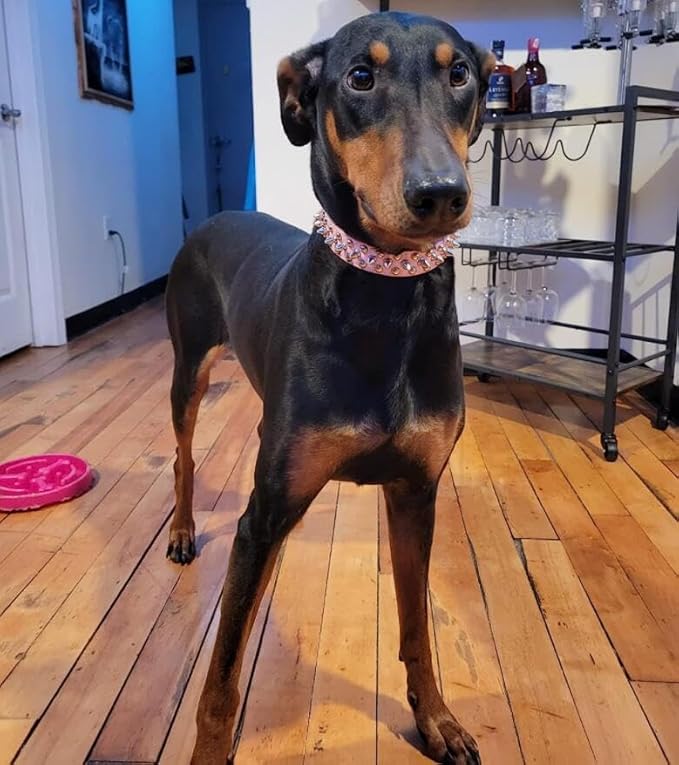 Spiked Dog Collar Soft Pu Leather Mushrooms Rivet Spike Studded Puppy Adjustable Pet Collars for Small Breeds (M, Black Set)