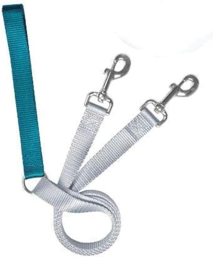 2 Hounds Freedom No Pull 1 Inch Training Leash ONLY Works with No Pull Harnesses (Teal)