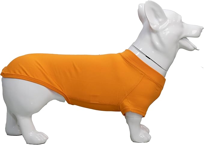 Lovelonglong Pet Clothing Dog Costumes Dachshund Clothes Blank T-Shirt Tee Shirts for Dachshund Dogs,Corgi 100% Cotton Orange D-L