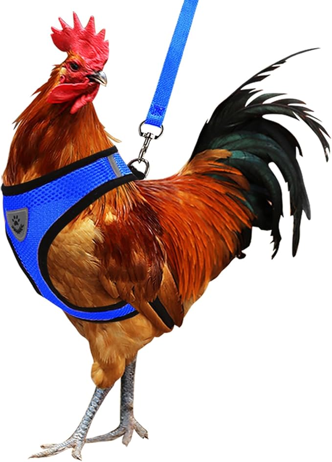 Adjustable Chicken Harness with Leash Small Pet Harness and Leash for Duck Hen Goose Walking, Blue (S)