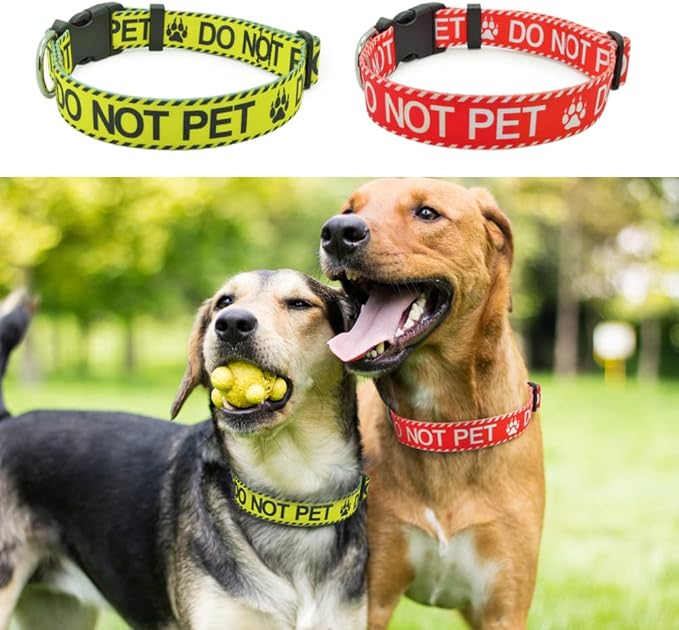 Dog Collar for DO NOT PET, Sturdy Durable with Buckle, Yellow Dog Collars for Small Medium Large Dogs, Premium Adjustable Polyester Pet Collar