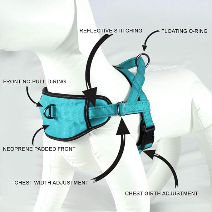 Max and Neo Passport Reflective Dog Harness - We Donate a Harness to a Dog Rescue for Every Harness Sold (Medium (19"-24.5" Chest Girth), Teal)