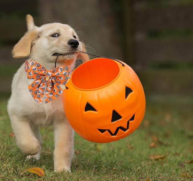 DOGWONG Fall Dog Collar with Bowtie - Fall Dog Collar Soft Cotton Autumn Dogs Necklace - Halloween Puppy Necklace for Small Medium Large Dogs