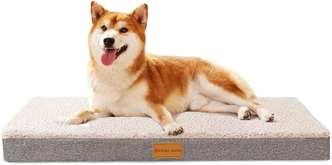Patas Lague Orthopedic Dog Bed for Large Dogs, Soft Comfortable Waterproof Egg Crate Foam Medium Pet Beds Mat with Removable Washable Cover, 36''X24'' Ivory