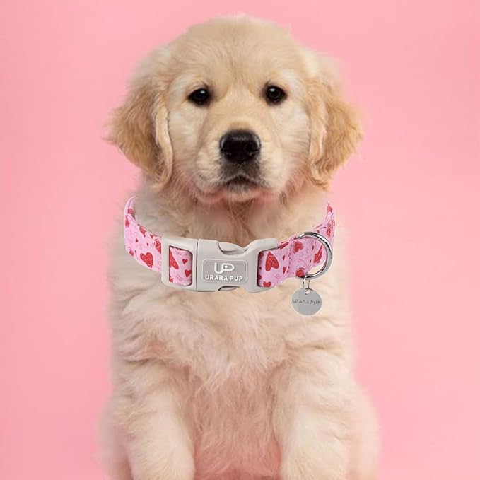 Valentine's Day Collar - Pink Heart Quick Release for Puppy Dogs