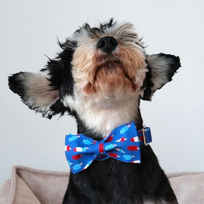 Lionet Paws Patriotic Dog Collar with Bowtie, 4th of July, Soft and Comfortable Adjustable Summer Popsicle Bowtie Collar for Puppies and Cats Male Female Gift, XXS, Neck 7-11 inches