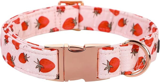 Lionet Paws Dog Collar, Comfortable Adjustable Cute Collar with Metal Buckle for Male Female Dogs, Strawberry Pattern, Small, Neck 10-16 inches