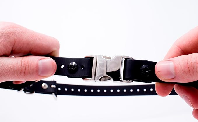 Educator Quick Snap Bungee Dog Collar, Biothane, Waterproof, Odorproof, Easy Connect and Disconnect Clasp and D Ring with Comfort Bungee Loop, Adjustable for Custom Fit, 1-Inch, Black