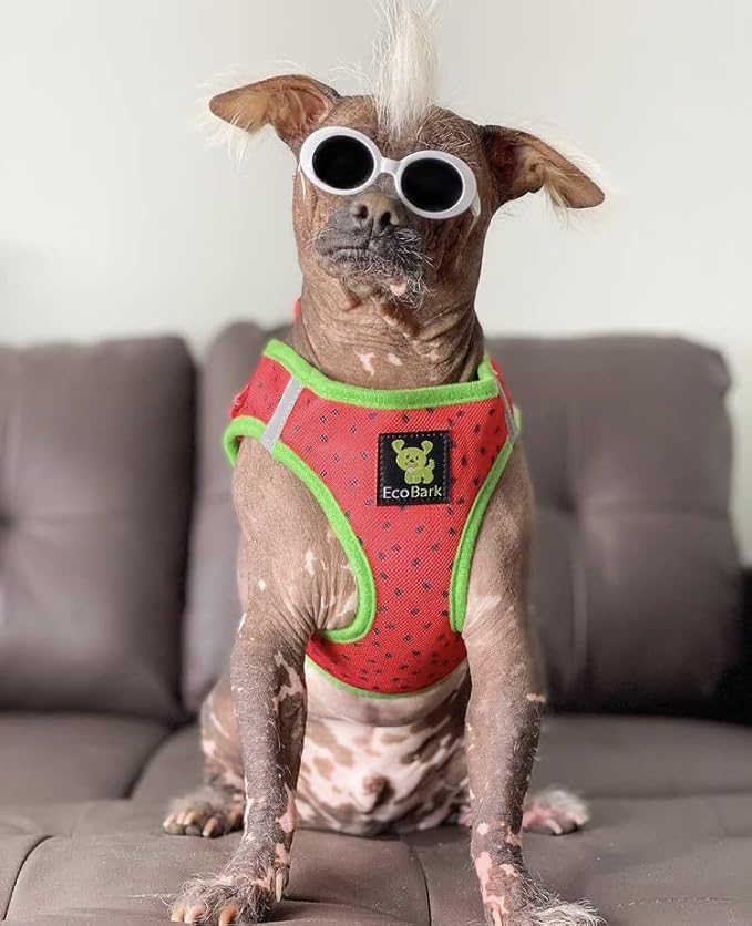 EcoBark Step in Dog Harness - Extra Small Reflective Soft Luxury Mesh - Ultra Padded Mesh - Comfortable & Secure Halter Vest - No Pull Adjustable Pet Vest (Extra Small, Watermelon)