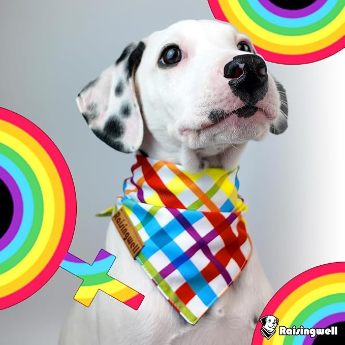 Pride Dog Bandanas 2 Pack, 4 Pattern Reversible LGBTQ+ Rainbow for Boy and Girl, Premium Durable Fabric, Summer Triangle Scarf for Medium to Extra Large Breed Dogs (X-Large)