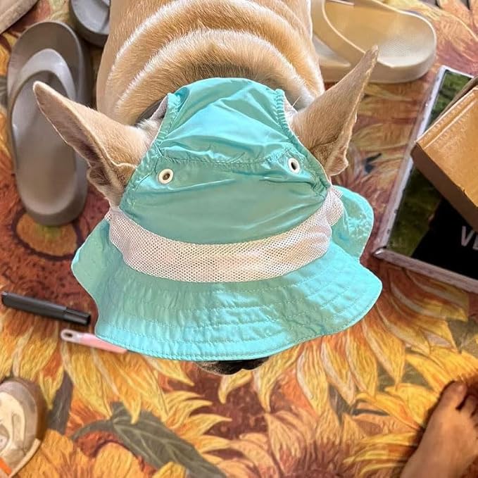 Dog Outdoor Hat with Ear Hole Round Brim Summer Dog Puppy Cat Suncare Cooling Bucket Hat Cute Beach Sun Protection Pet Caps (Blue Large)