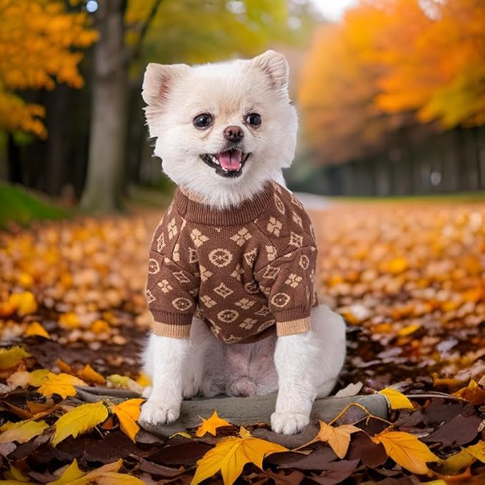 Designer Dog Clothes Sweater Shirt Outfit Small XS Teacup Cute Dogs Puppies French Bulldog Dachshund Chihuahua Cats Maltese Boy Girl (Medium, Chewypawtton)