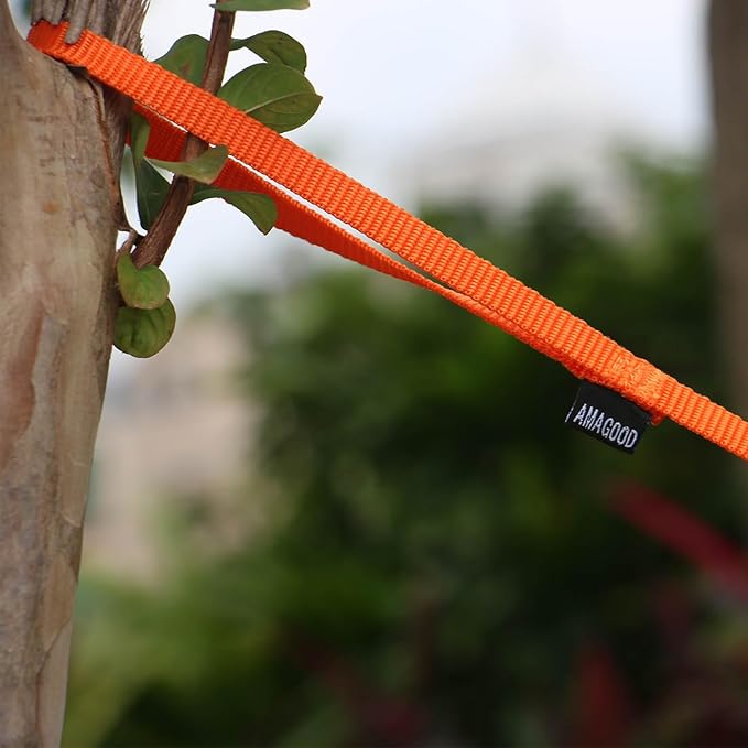 AMAGOOD 6 FT Cat Leash, Strong and Durable Traditional Style Leash with Easy to Use Collar Hook,Cat Lead Great for Cats (3/8 in x 6 ft,Black and Orange(2-Pack))