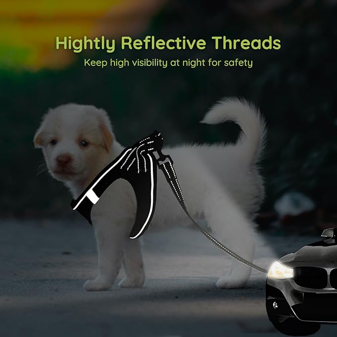 BELLA & PAL Puppy Harness & Leash Set, No Pull Dog Harness for Extra Small Dogs, Black XS