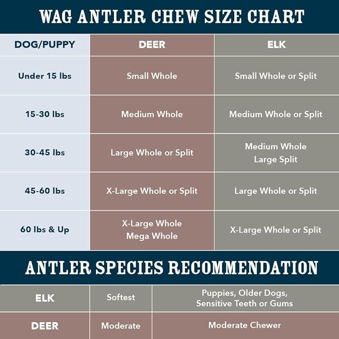 Amazon Brand - Wag Deer Antler Chew for Dogs, Naturally Shed, Whole, Medium 6 - 7.5 inches, Long Lasting for Aggressive Chewers, Best for Dogs 15-30 lbs, 1.80 Ounce (Pack of 1)