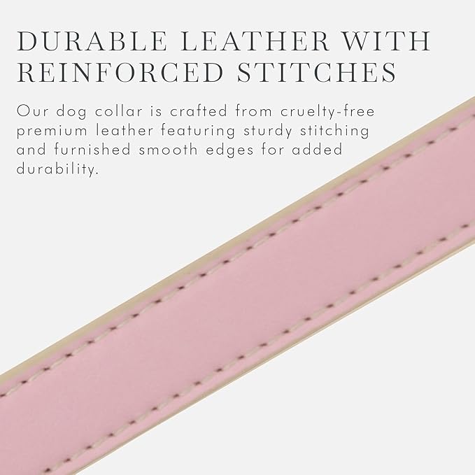 Cupertino Dog Collars, Harnesses & Leashes Made from Vegan Leather with Dog Tracker Device Holder Adjustable Dog Collar (Medium, Pink)