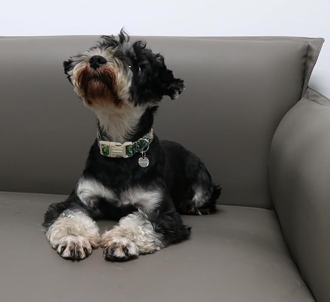 DOGWONG Cotton Dog Collar, Heavy-Duty Dog Collar Durable Soft Boy Dog Collar Cute Wedding Puppy Necklace for Small Medium Large Dog