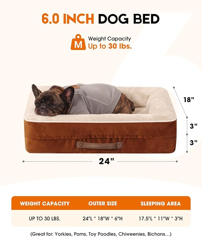 Cat Beds for Indoor Cats, Egg Foam Orthopedic Dog Bed with Removable Washable Cover, Waterproof Cat Couch Bed with Non-Slip Bottom and Four-Sided Bolster Cushion, Brown Dog Beds for Small Dogs