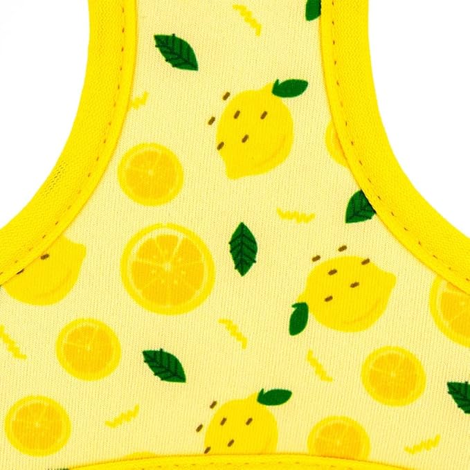 Dog Harness and Leash Set, Adjustable Dog Harness, Dog Leash, No Pull No Choke Puppy Harnesses for Walking Training for Small, Medium, Large Pet