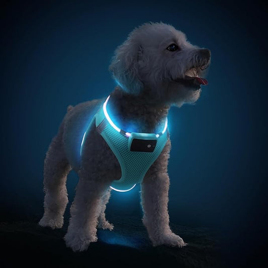 PceoTllar Light Up Dog Harness, LED No Pull Reflective Dog Harness, Flashing Lighted for Night Walking - Small/Medium, (Blue M)