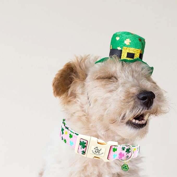 Elegant little tail St Patrick's Dog Collar-Lucky Colver Cotton Shamrock Pet Collar Trefoil Holiday Adjustable Cotton Pet Collar with Quick Release Buckle for Small Medium Large Dogs