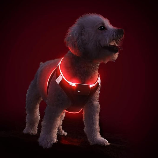 PceoTllar Light Up Dog Harness, LED No Pull Reflective Dog Harness, Flashing Lighted for Night Walking - Small/Medium, (Black Red,L)