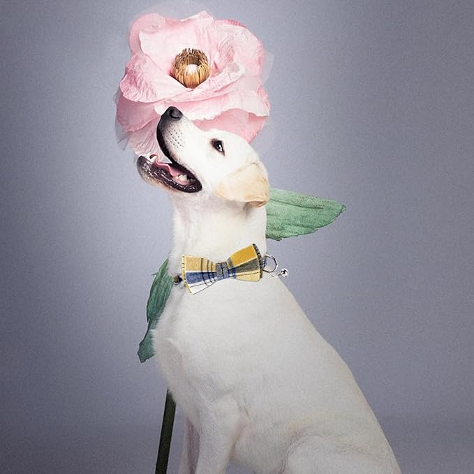 SuperBuddy Dog Collar, Adjustable Dog Collar with Bowtie, Pet Collar for Dog Soft Bowtie Dog Collars for Small Medium Large Pet