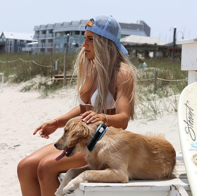 Black Rhino - The Comfort Collar Ultra Soft Neoprene Padded Dog Collar for All Breeds - Heavy Duty Adjustable Reflective Weatherproof (Small, Sport Blue/Bl)