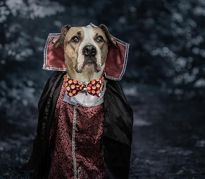 DOGWONG Fall Dog Collar with Bowtie - Black Pumpkim Dog Collar Soft Cotton Autumn Dogs Necklace- Halloween Puppy Necklace for Small Medium Large Dogs