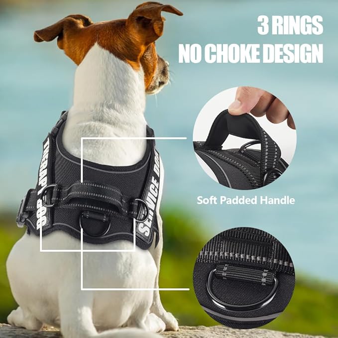 Dog Vest Harness and Leash Set, Animire Reflective Service Dog Vest in Training Dog Harness with 10 Patches, 3 Rings Emotional Support Therapy Dog Harness for Small Medium Large Dogs(Black,M)