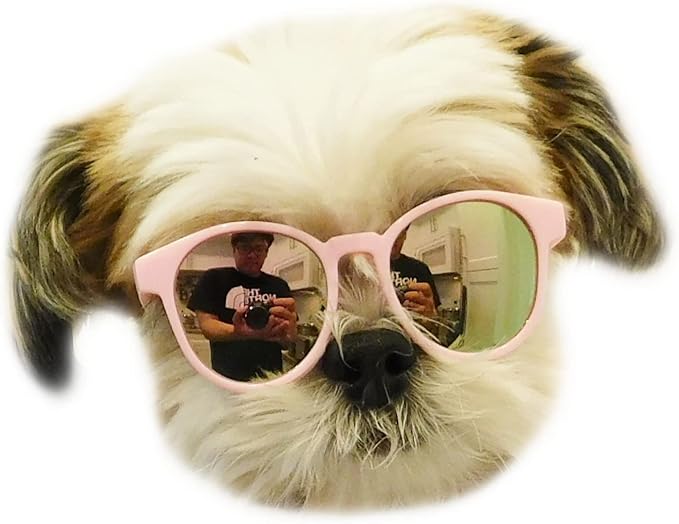 G014 Dog Cat Pet Panto Round Sunglasses for Small Breeds up to 15lbs (Panto Pink-Pink Mirror)