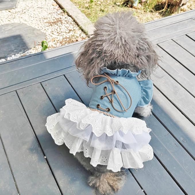 Girl Dog Denim Dress with Flared Sleeves Dog Jeans Jacket Blue White Puppy Clothes for Small Dogs Cat Apparel Cake Skirt Pet Outfit (Blue, X-Small)