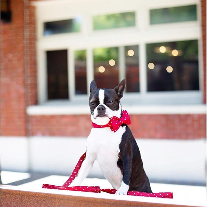 Unique Style Paws Pet Soft &Comfy Bowtie Dog Collar and Cat Collar Pet Gift for Dogs and Cats 6 Size and 7 Patterns