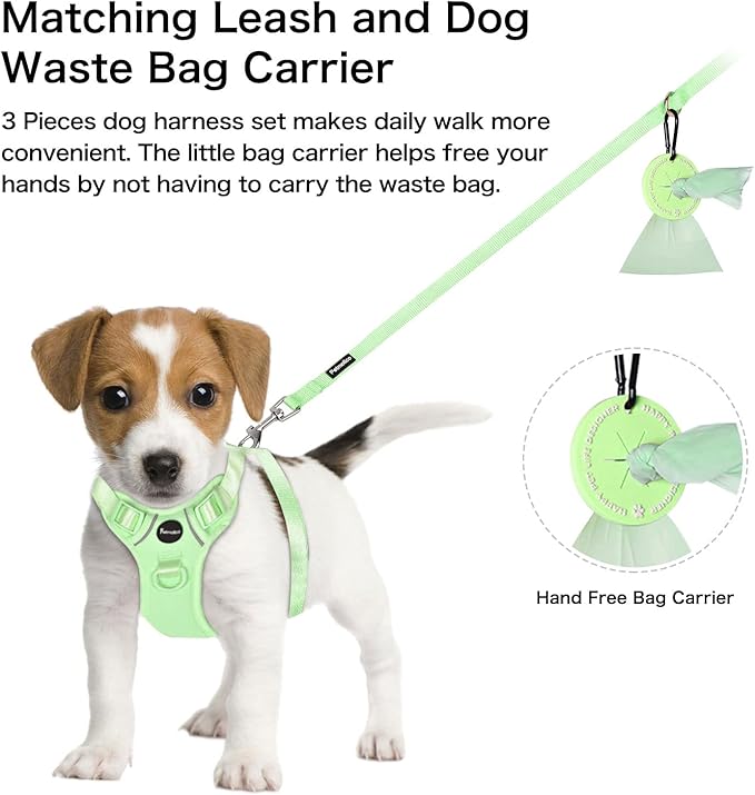 Petmolico Dog Harness for Small Dogs, Cute Harness Vest with Two Leash Clips and Soft Handle, Reflective Easy Walk Puppy Vest - Mint Green, Small