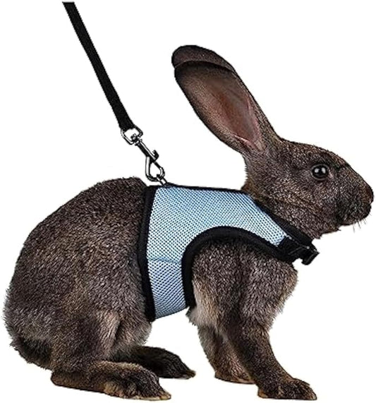 MANON ROSA Rabbit Harness and Leash Set - Adjustable Escape-Proof Training and Walking Gear for Guinea Pigs Bunnies Chinchillas Hamsters Ferrets Rats Kittens and Small Dogs Puppies Cats (Blue,L)