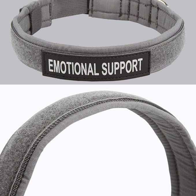 EXCELLENT ELITE SPANKER Tactical Small Puppy Dog Collar Nylon Adjustable Heavy Duty Military for Small Medium and Large Dogs Pet Soft Padded Dog Collar(Grey-S)