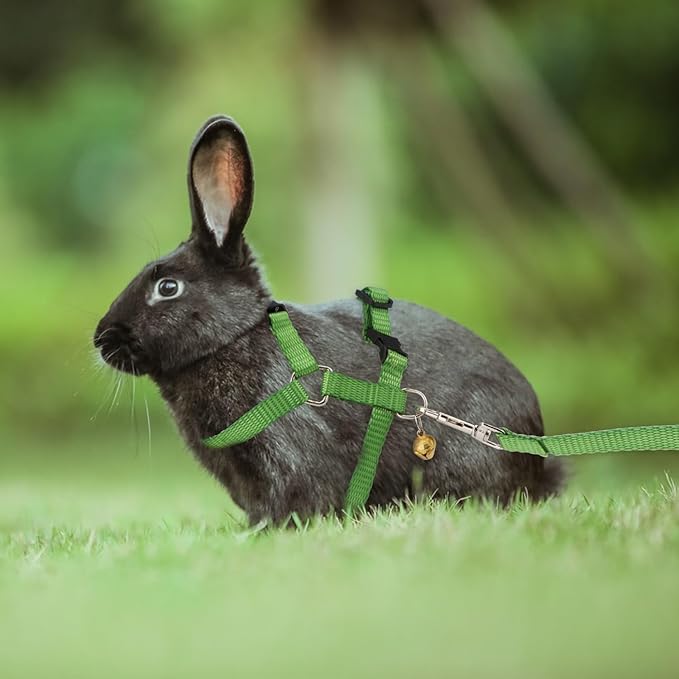 Hypeety Rabbit Bunny Harness with Leash Adjustable Soft Nylon Harness Rabbit Vest Harness Lead Leash Pink Blue Lead Leash All Season for Small Animals (Green)
