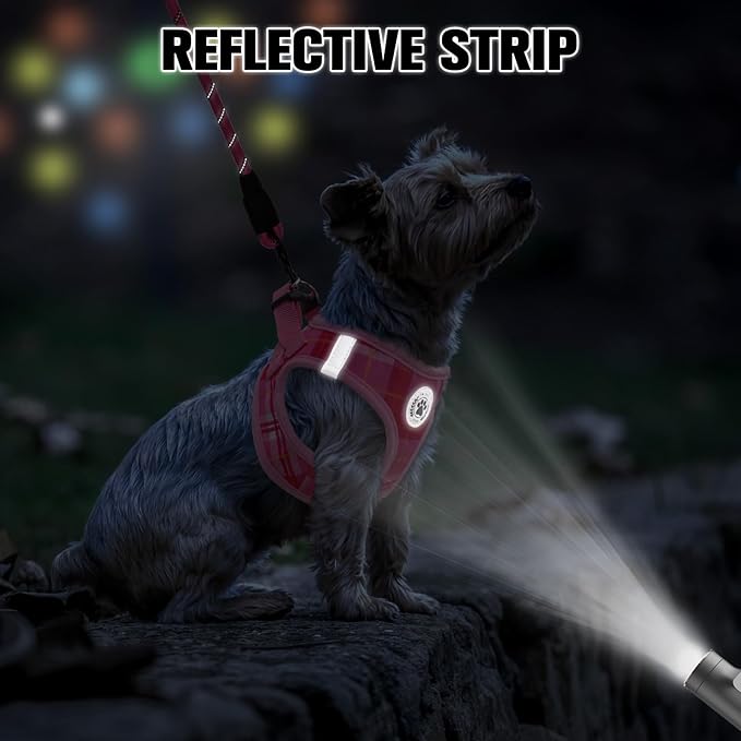 BEAUTYZOO Small Dog Harness and Leash Set, Step in No Choke No Pull Soft Mesh Dog Harnesses Reflective for Small Medium Puppy Dogs and Cats, Plaid Dog Vest Harness for S M Pets, Light Pink S