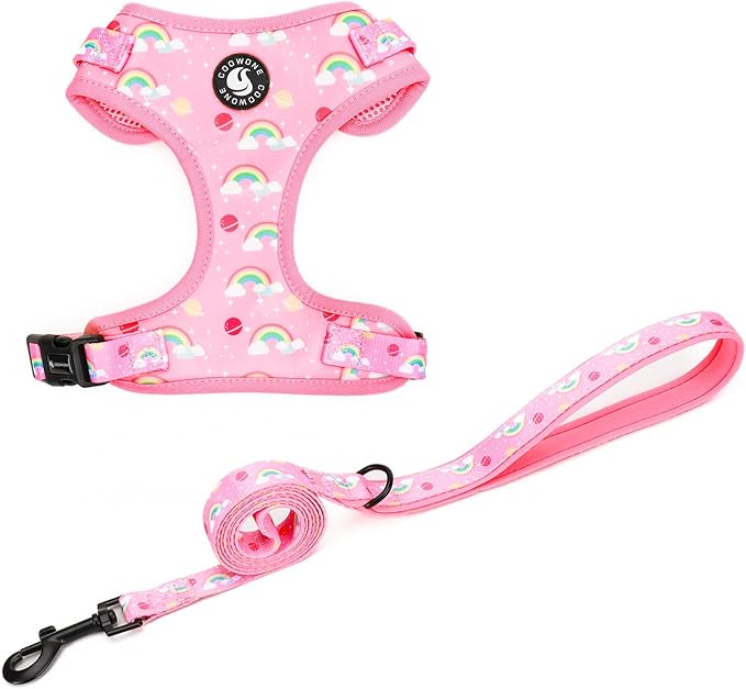 Dog Cat Harness and Leash Set, Puppia Soft Mesh Padded and Adjustable Puppy Vest Cute Dog Clothes Escape Proof Easy Walk Pet Accessories