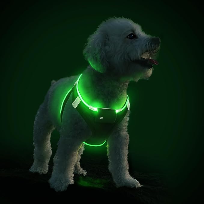 PceoTllar Light Up Dog Harness, LED No Pull Reflective Dog Harness, Flashing Lighted for Night Walking - Small/Medium, (Black Green,L)