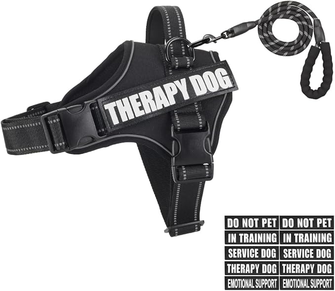 Dog Vest Harness and Leash Set, Animire Reflective Service Dog Vest in Training Dog Harness with 10 Patches, 3 Rings Emotional Support Therapy Dog Harness for Small Medium Large Dogs(Black,M)