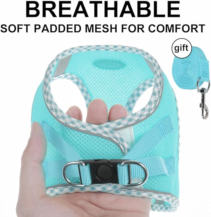 Dog Harness and Leash Set, Mesh Male and Female Extra Small Dogs Vest Collars, Adjustable No-Pull Pet Cat Chest Harnesses with Leashes, Medium Running Gear for Large Puppies, S Size Green