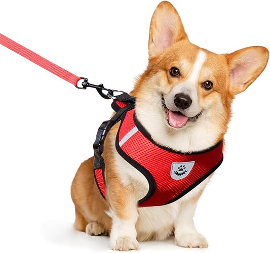 shudyear Dog Walking Chest Harness and Leash, Anti-Escape Adjustable Soft Mesh Dog Leash and Harness Set for Small Dog and Puppies, Vest for Medium Sized Dogs (red, M)