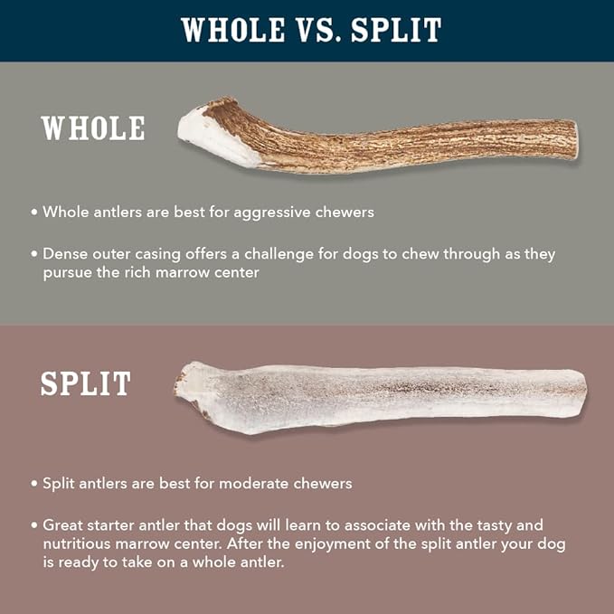 Amazon Brand - Wag Dog Elk Antler Chew, Naturally Shed, Whole, Medium 6-7.5 inches, Long Lasting for Aggressive Chewers, Best for Dogs 15-30 lbs, 2.90 Ounce (Pack of 1)
