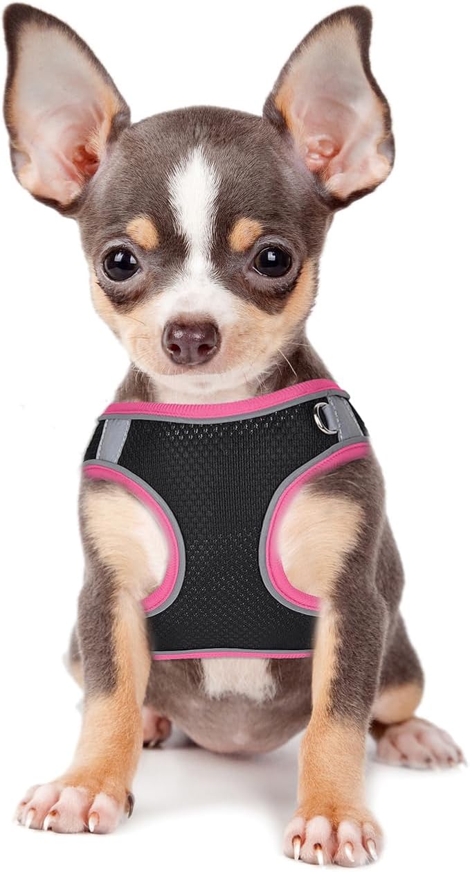 Dog Harness and Leash Set No Pull Step in Dog Harness with Reflective Bands Escape Proof Mesh Dog Vest Harness Leash with ID Tag