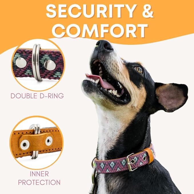 Western Dog Collar - Leather Embroidered Design for Small Medium Large Dogs & Puppy Pets - Aztec Southwest for Boy Girl Female & Male Dogs - Collar para Perros Beaded (Large, Camelot)