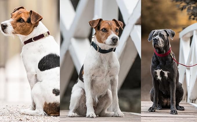 Soft Dog Collar with Metal Buckle Adjustable Durable Comfort Cotton Corduroy Collars for Medium Dogs Velvet Dog Collars, Black