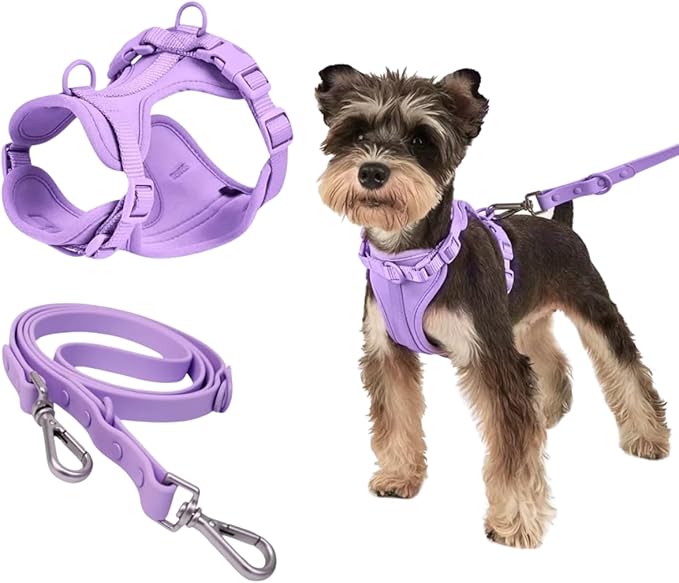 Tito's Closet Small Dog Harness and Leash Set, Soft Neoprene Material, No Pull Dog Harness, Purple, Small