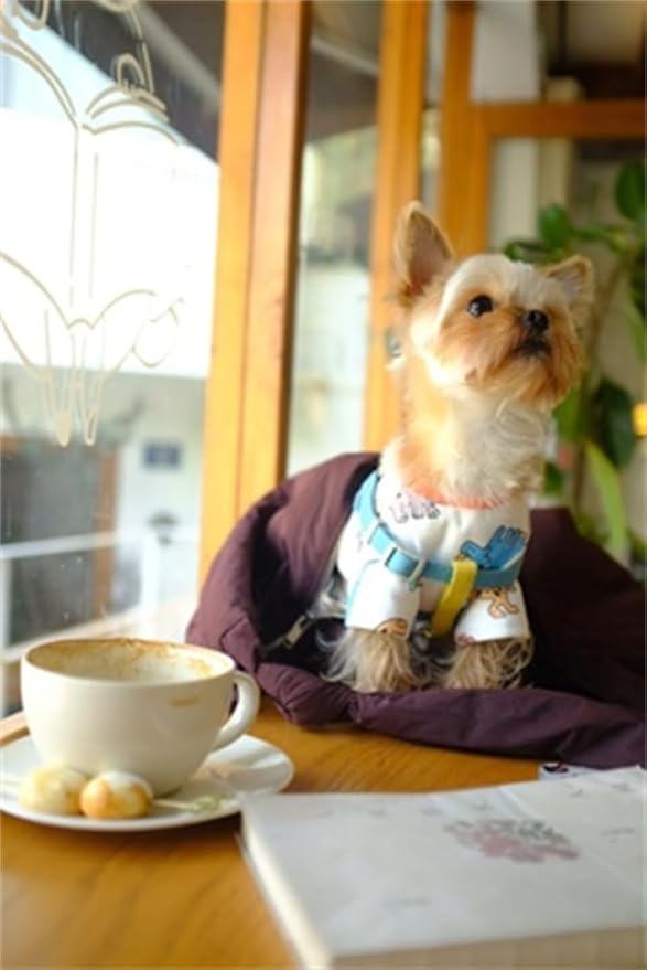 Dog Clothes Puppy Cute Dinosaur Shirt Pet Cotton Shirt Dog Vest Cat Clothes Dogs Boy Girl T Shirts for Small Dog Cat Teacup Chihuahua Yorkie (Dino Shirt, X-Large)